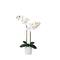 26" Artificial Real Touch White Double Orchid Phalaenopsis with Decorative Vase